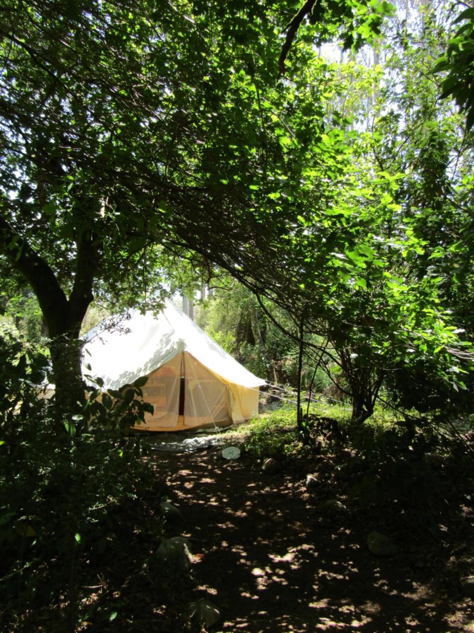 Greenstone Retreat Kumara Extérieur photo